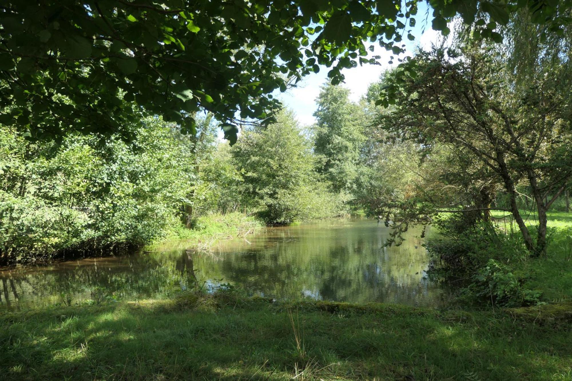 Bed and Breakfast Le Moulin Aux Ecrevisses Thonnance-lès-Joinville Esterno foto